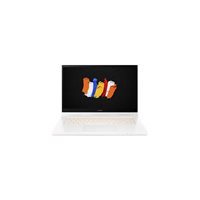 Acer ConceptD 3 Ezel Pro CC315-72P-79TG 39,62cm 15,6Zoll IC i7-10750H