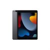 Apple iPad 25,9cm 10,2Zoll Wi-Fi + Cellular 256GB spacegrau 9.Gen 3G,4G