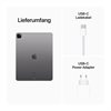 Apple iPad Pro 32,8cm 12,9Zoll Wi-Fi+Cellular 2TB Spacegrau 6.Gen 3G,4G,5G