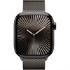 Apple Watch Series 10 Schiefertitan Band: Schiefer Größe S/M 64GB 46mm 4G