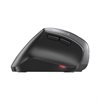 Cherry MW 4500 - Vertikale Maus  ergonomisch Rechtshänder optisch 6 Tasten