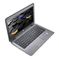 HP Elitebook 820 G1 - i5-4200U | 4GB 12,5 Zoll 1000GB HDD