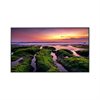 Samsung QB65B 163cm 65Zoll LCD 4K UHD 2160p 3840x2160