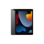 Apple iPad 25,9cm 10,2Zoll Wi-Fi + Cellular 256GB spacegrau 9.Gen 3G,4G