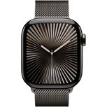 Apple Watch Series 10 Schiefertitan Band: Schiefer Größe S/M 64GB 46mm 4G