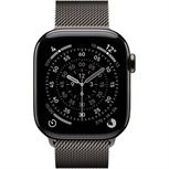 Apple Watch Series 11 Schiefertitan Band:Schiefer Gr, M/L 64GB 46mm LTE
