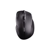 Cherry MW 3000 - Maus - Für Rechtshänder - Infrarot - 5 Tasten - kabellos