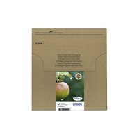 Epson Original Tinte Multipack BK-C-M-Y T129 - C13T12954511