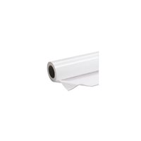 Premium Semigloss Photo Paper Roll - C13S042137