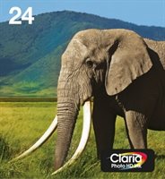 Epson Tinte multipack 6-colours 24 EasyMail T2428